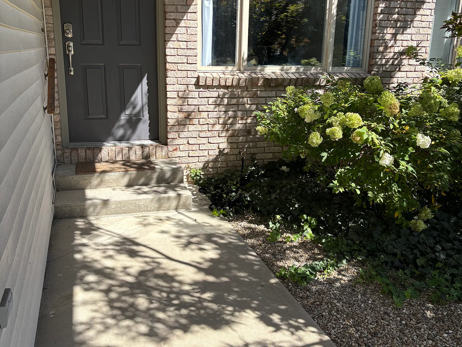 2 bed, 1300 sqft, $1,600 — Photo 4