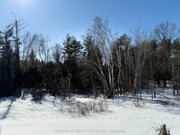 0 Lost Nation Rd #L-24&25, Brudenell, Lyndoch And Raglan, ON K0J 2E0