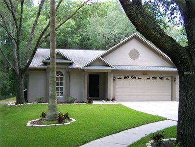 7402 Becky Thatcher Ln, Tampa, FL, 33637