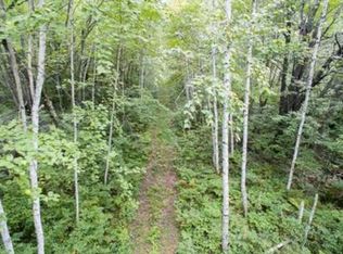 N9165 Riverwood Rd, Springbrook, WI 54875