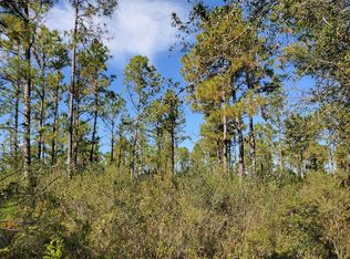 0 Brown Rd, Lee, FL 32059