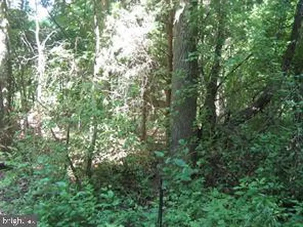 Elm Dr, Colonial Beach, VA 22443