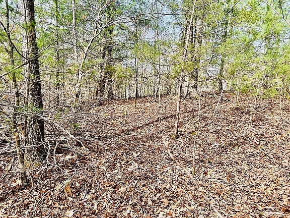 4th image of 56 Bear Mountain Ln #56
