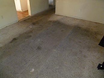 2nd image of 32261 Hillsdale Ct