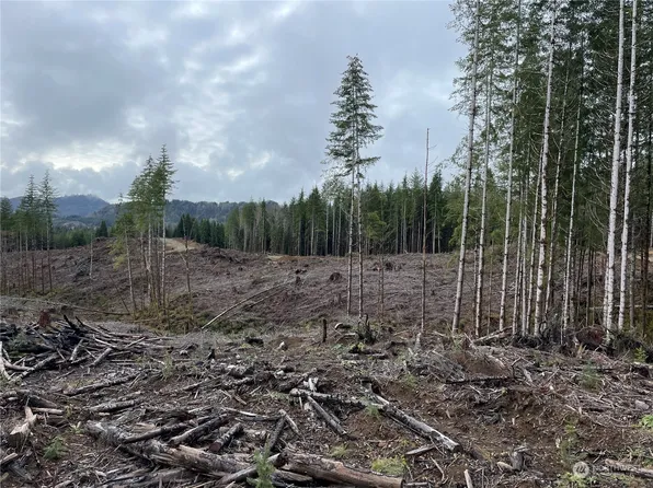 0 Oatfield Road, Skamokawa, WA 98647