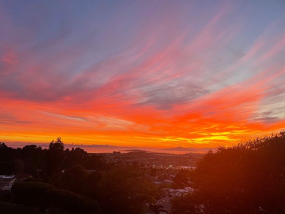View from Dining Area