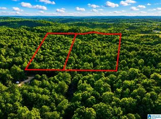 Off Of Penny Ln #54, Odenville, AL 35120