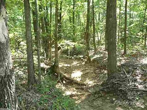 5th image of 0 Old Military Ln