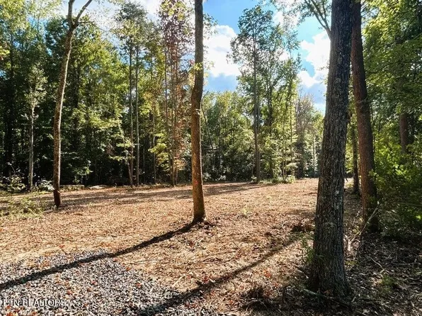 3 Pleasant Hill Rd Lot 3, Ten Mile, TN 37880