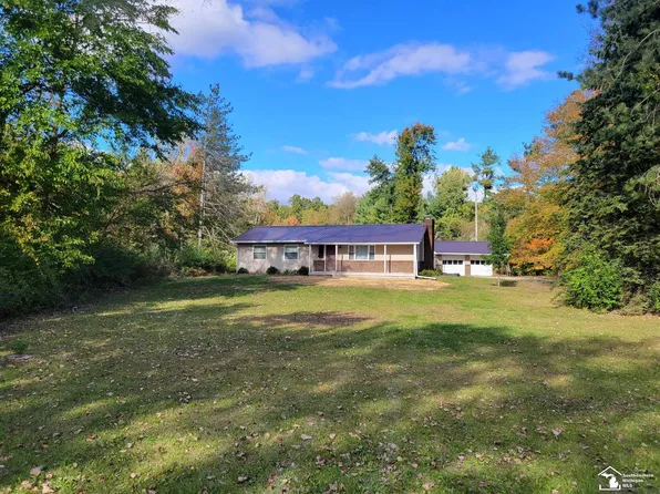 15008 W Albain Rd, Petersburg, MI 49270