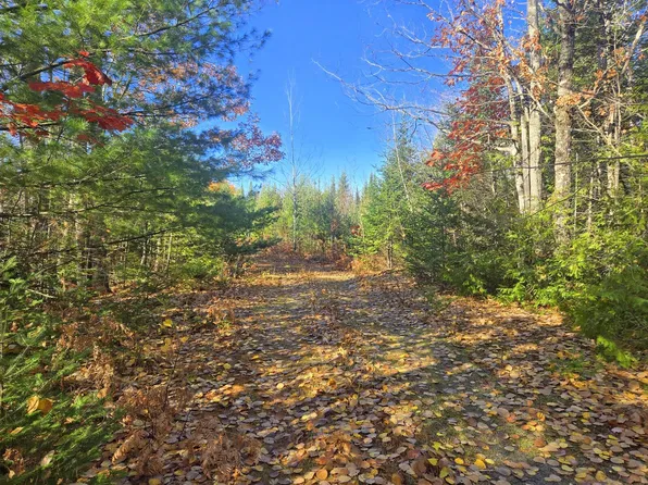Lot 1A East Madrid Road, Phillips, ME 04966