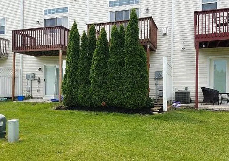 4118 Cambron Dr — Photo 22