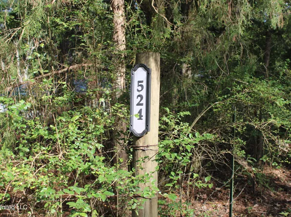 524 Davis Crossing Rd, Canton, MS 39046