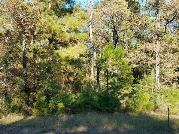 49 N Forest Dr, Huntsville, TX 77340