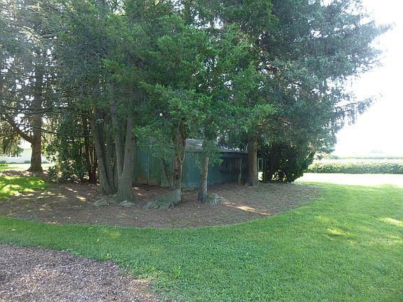 backyard/shed