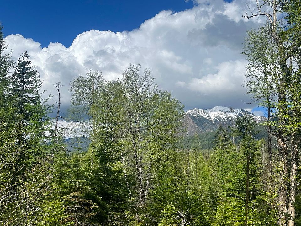 14156 Orvis Evans Dr, Bigfork, MT 59911 MLS 30005231 Zillow