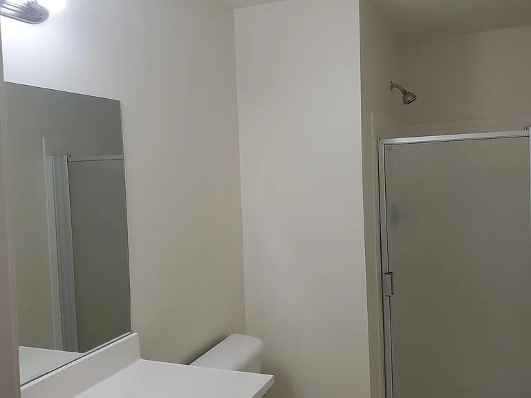 master bathroom /shower
