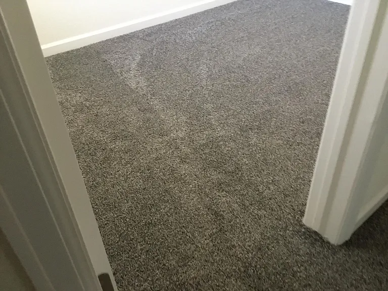 New carpeting throughout