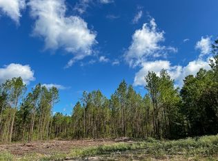 2 Slim Palmer Rd, Zavalla, TX 75980