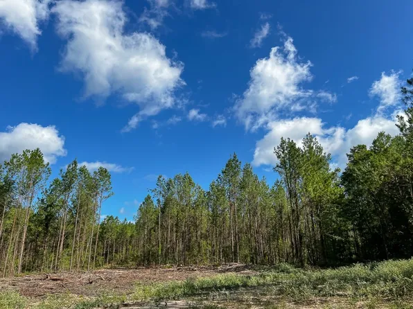 2 Slim Palmer Rd, Zavalla, TX 75980