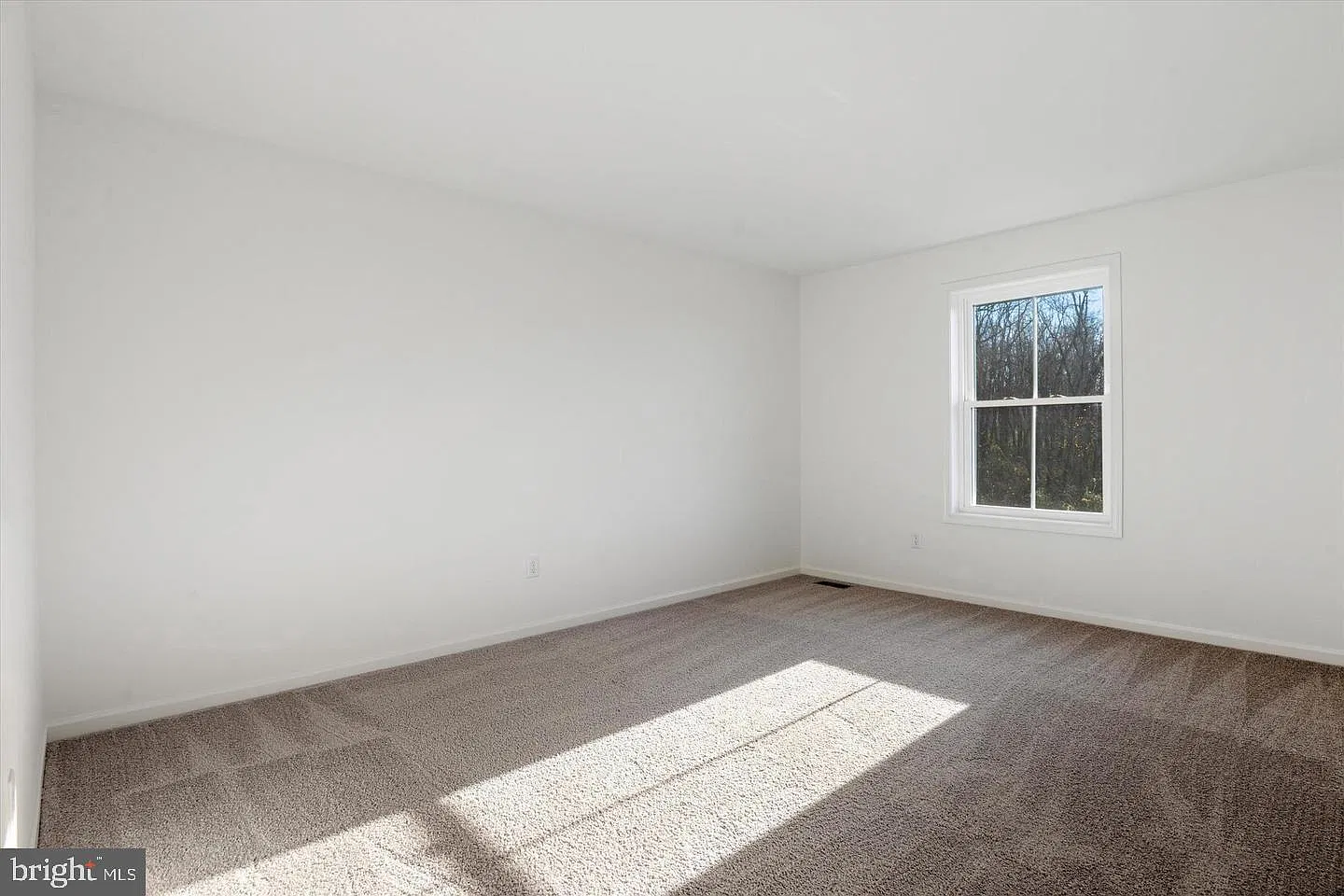 3 bed, 2.5 bath, 2000 sqft, $3,000 — Photo 3