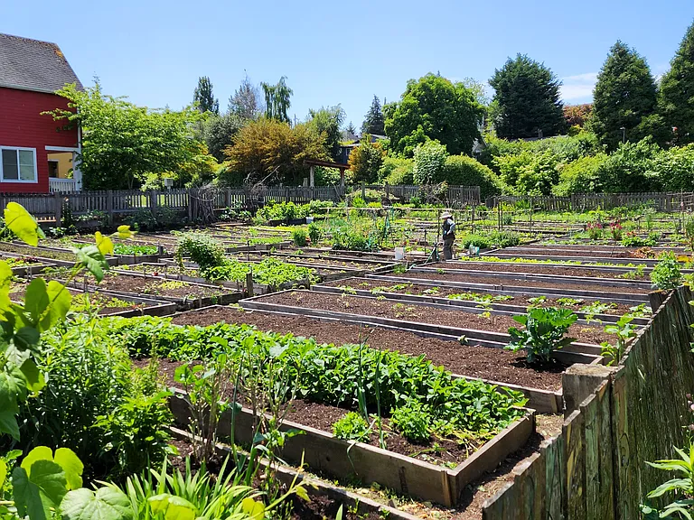 Nearby community garden.