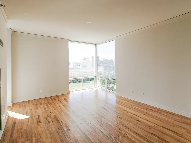 170 W Polk St #802 — Photo 5