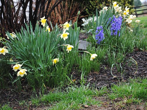 gardens