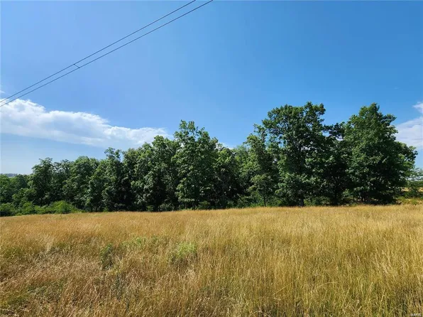 0 Phelan Rd, Pacific, MO 63069