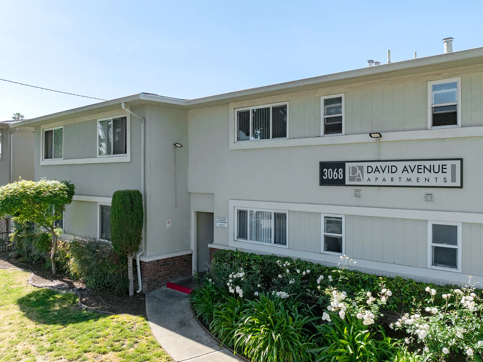 David Avenue — Photo 4