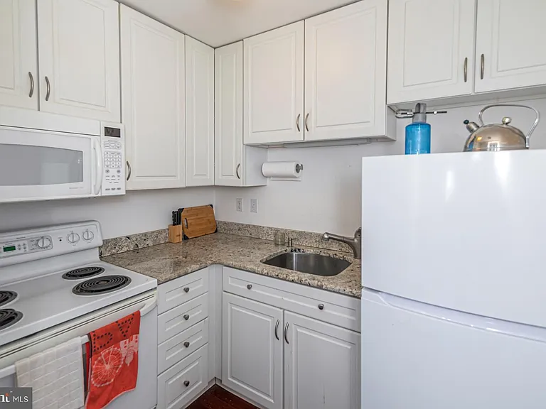 10 Bayard Ln #9 — Photo 10