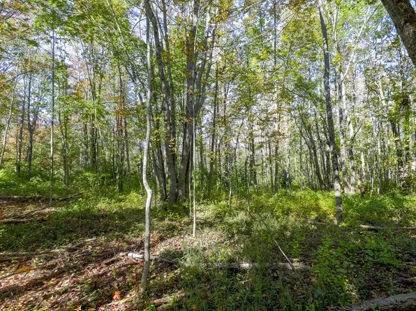 8-8A1 South Street, Blue Hill, ME 04614