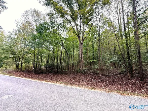Brans Chapel Rd, Attalla, AL 35954