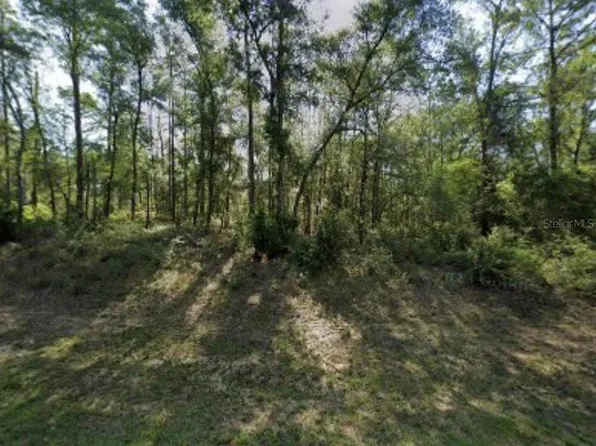 8965 N Lily Dr Lot 10, Dunnellon, FL 34434