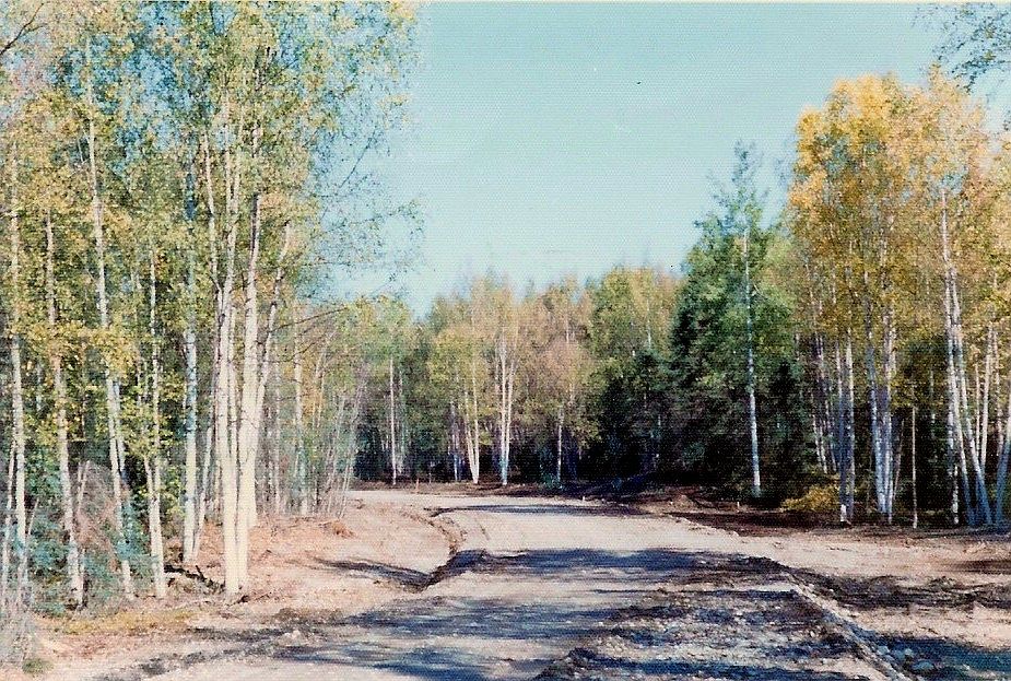 Deep Woods Circle