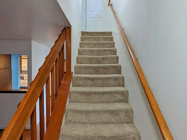 4513 Chelsea Ct — Photo 11