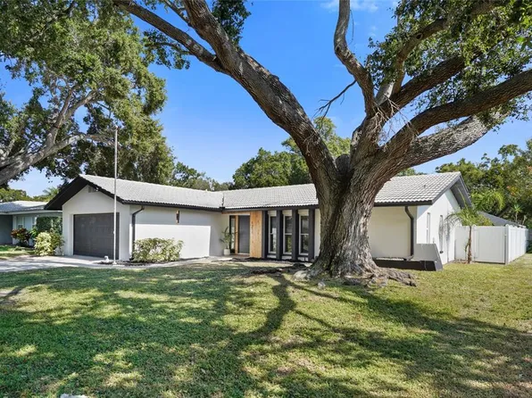 1211 Stony Brook Ln, Dunedin, FL 34698