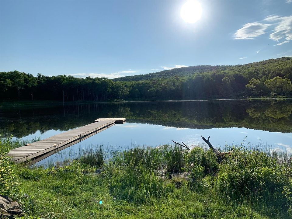 209 Alder Pond Rd, Andes, NY 13731 Zillow