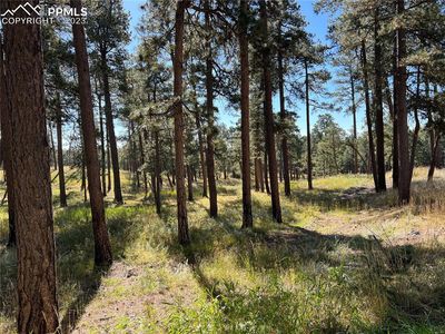 6245 Connaught Dr, Colorado Springs, CO, 80908
