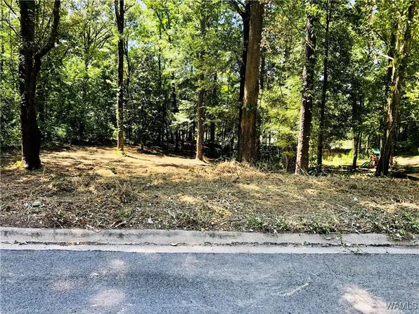 0 11th Ave E, Northport, AL 35473