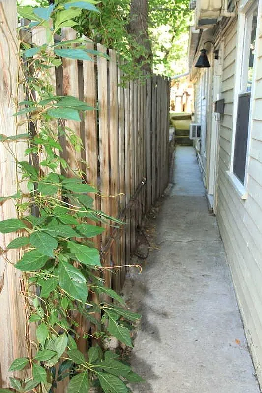 933 Spruce St — Photo 2