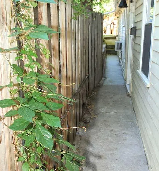 933 Spruce St #2 — Photo 2