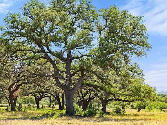 5th image of 1318 Klett Ranch Road