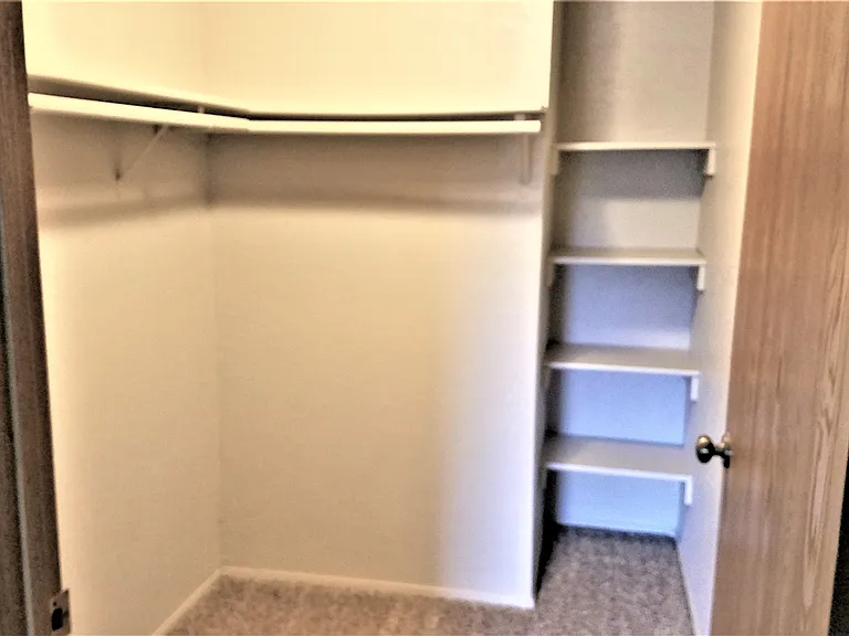 Walk-in Closet in Master Bedroom