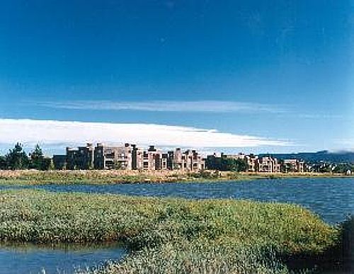 5th image of 801 Marine Pkwy