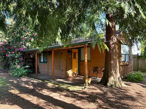 13325 1/2 30th Ave NE #A Photo 1