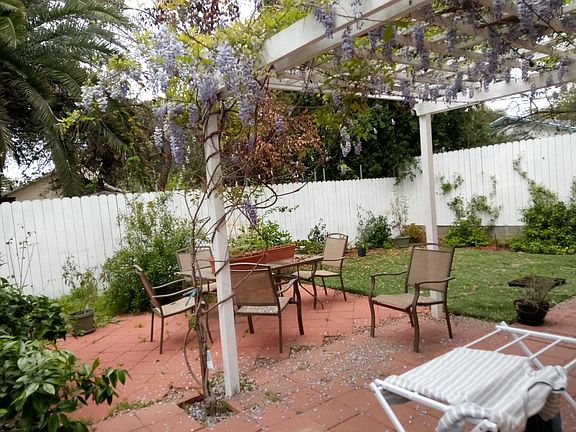 Patio and yard