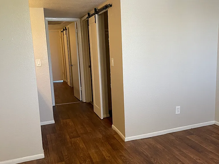 1215 E Lemon St #217 — Photo 23