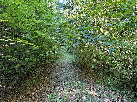 4th image of Lot 222 Casey Mountain Road