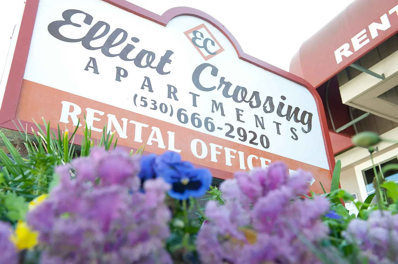 Elliot Crossing — Photo 3